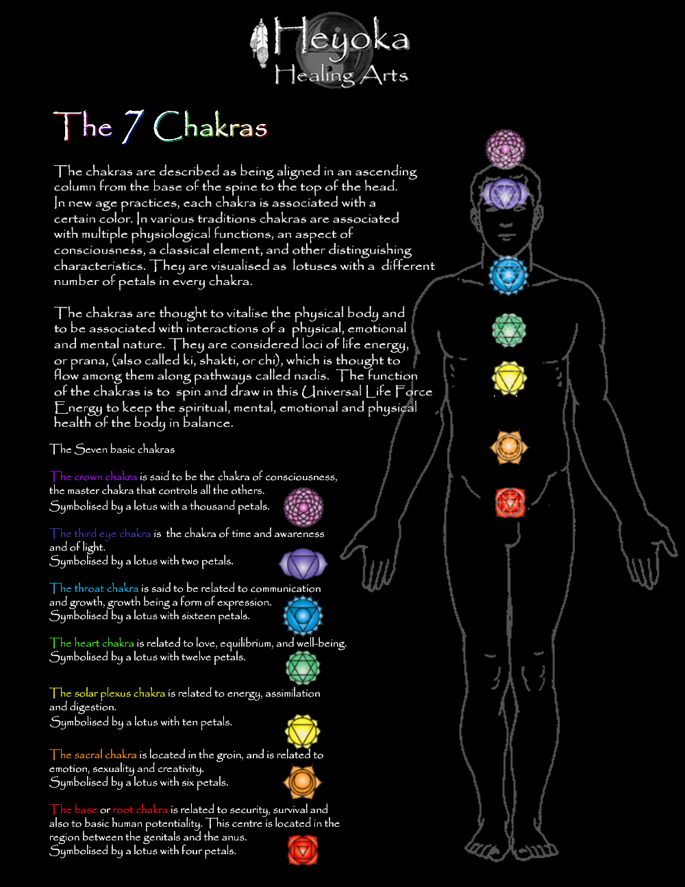The 7 Chakras